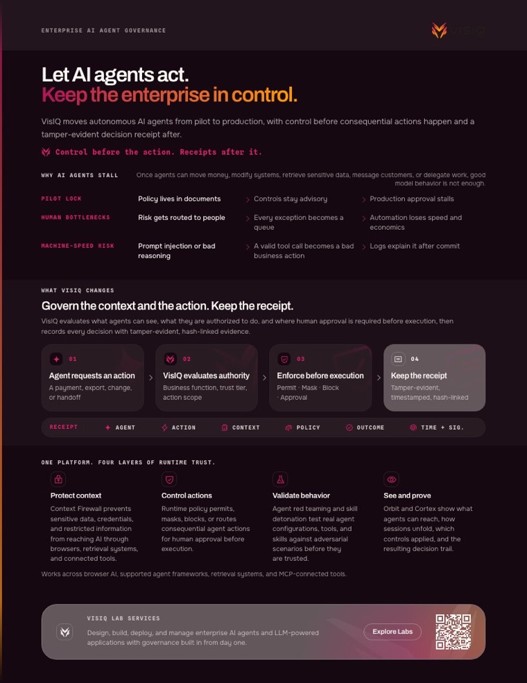 First page of VisIQ One-Pager